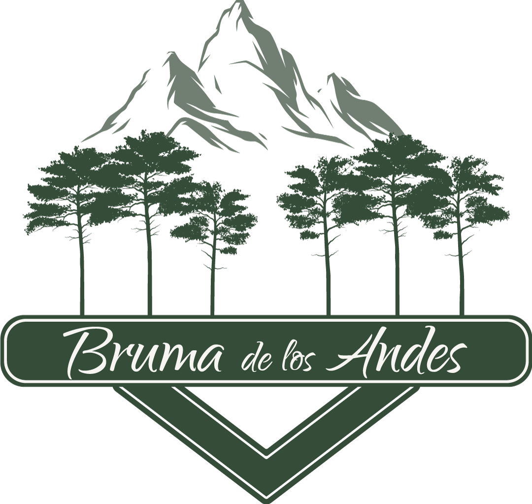 Logo Bruma de los Andes